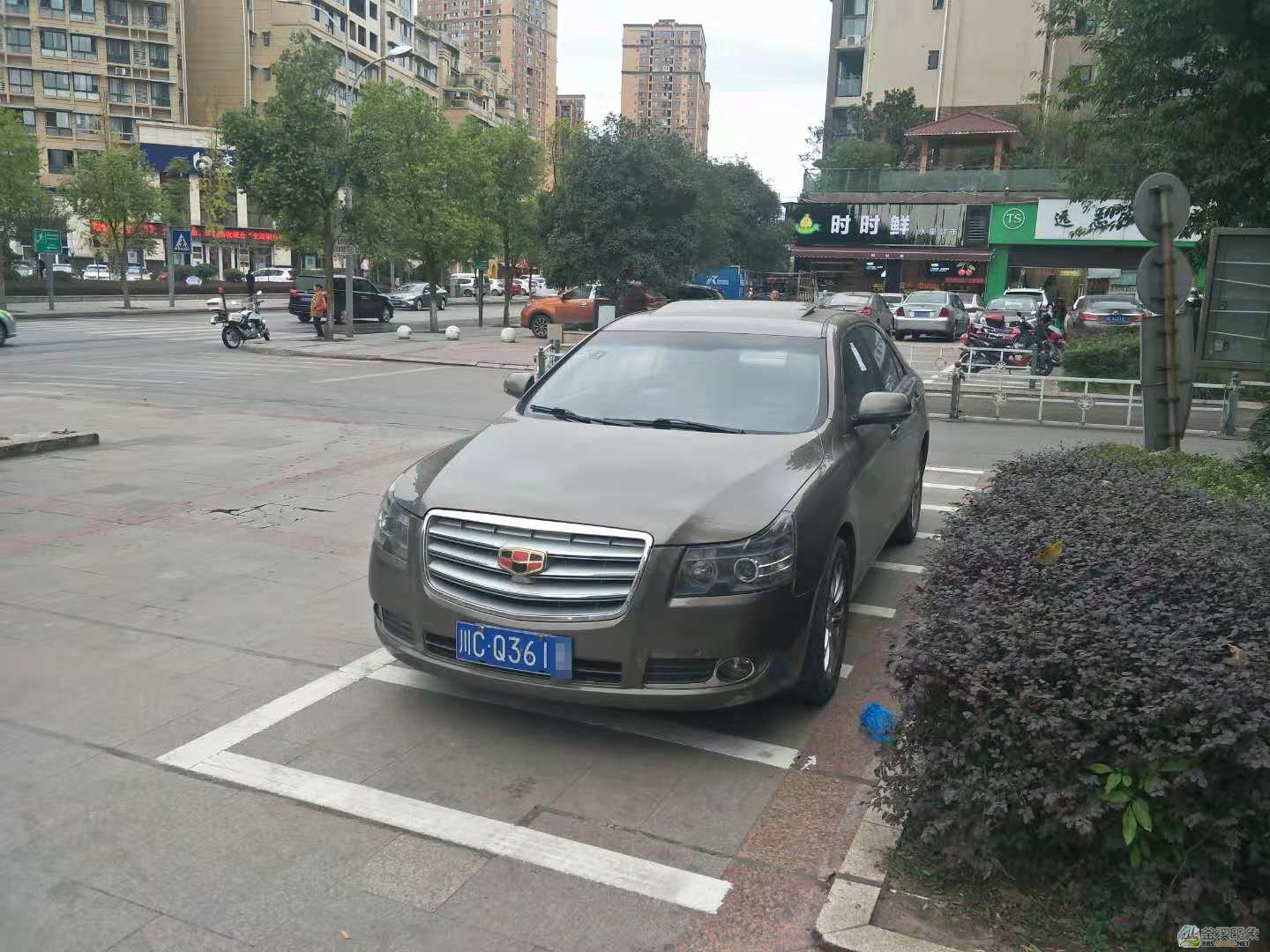 图片1.jpg